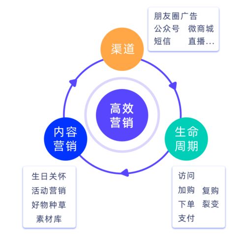 破解私域增長難題，微動天下企量SCRM如何以精細(xì)化運(yùn)營賦能企業(yè)